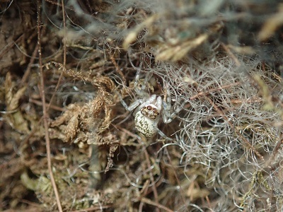 PB021798.JPG