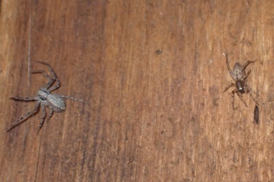 PC207125.JPG