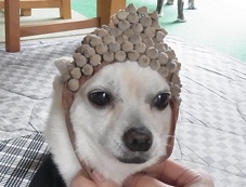 bu4.jpg