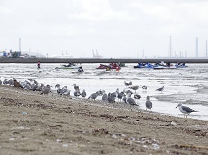makuhari0006.JPG